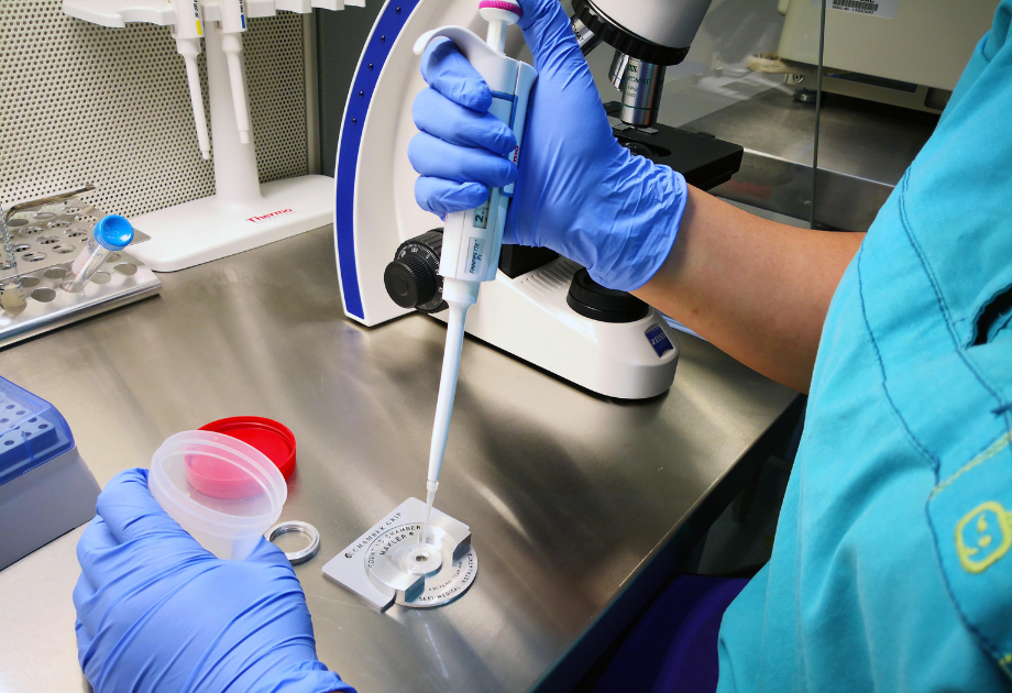 Sperm health assessment